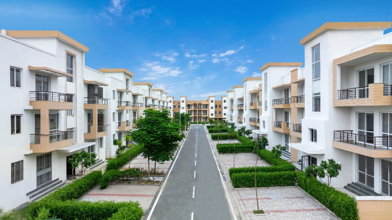 New Elite Floors and Plots